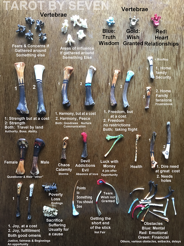 Set of painted bones for bone casting and definitions for each bone in this particular set