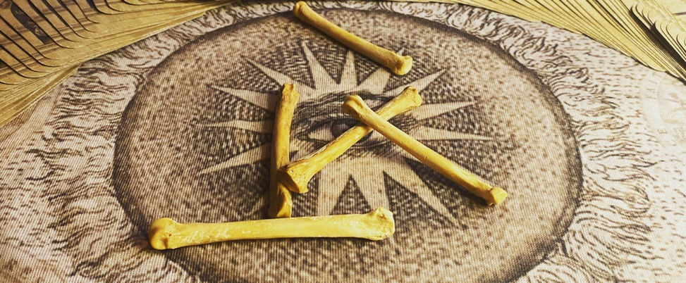 Bones from a bone casting on a Bone Casting Cloth featuring Sun and All Seeing Eye. Also shown are Tarot by Seven cards fanned out on top of the cloth.