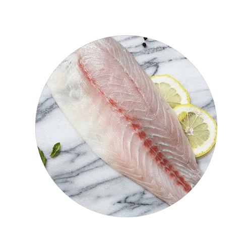 Frozen Barramundi Big Catch