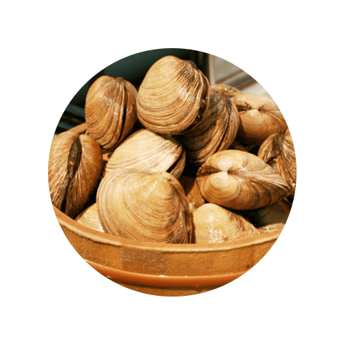 Fresh Cherrystone Clams Big Catch