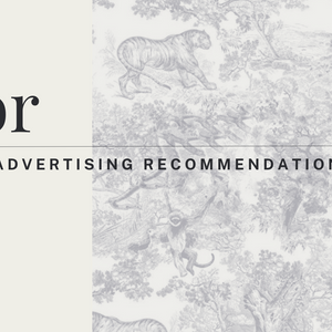 Dior Digital Advertising Recommendations