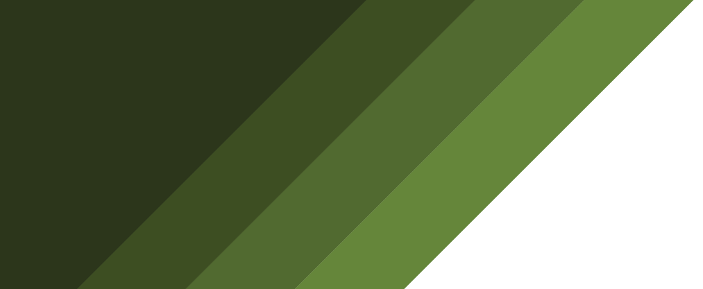 Forefront Stripes.png