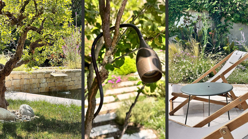 piscine naturelle et luminaire jardin