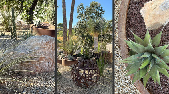 Détails du "jardin cactus"