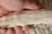 AdobeStock_301077833.jpeg