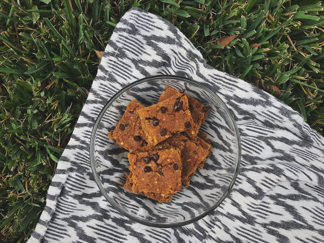 Pumpkin Chocolate Chip Bars - Vegan + Gluten Free