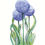 Thumbnail: Purple Allium