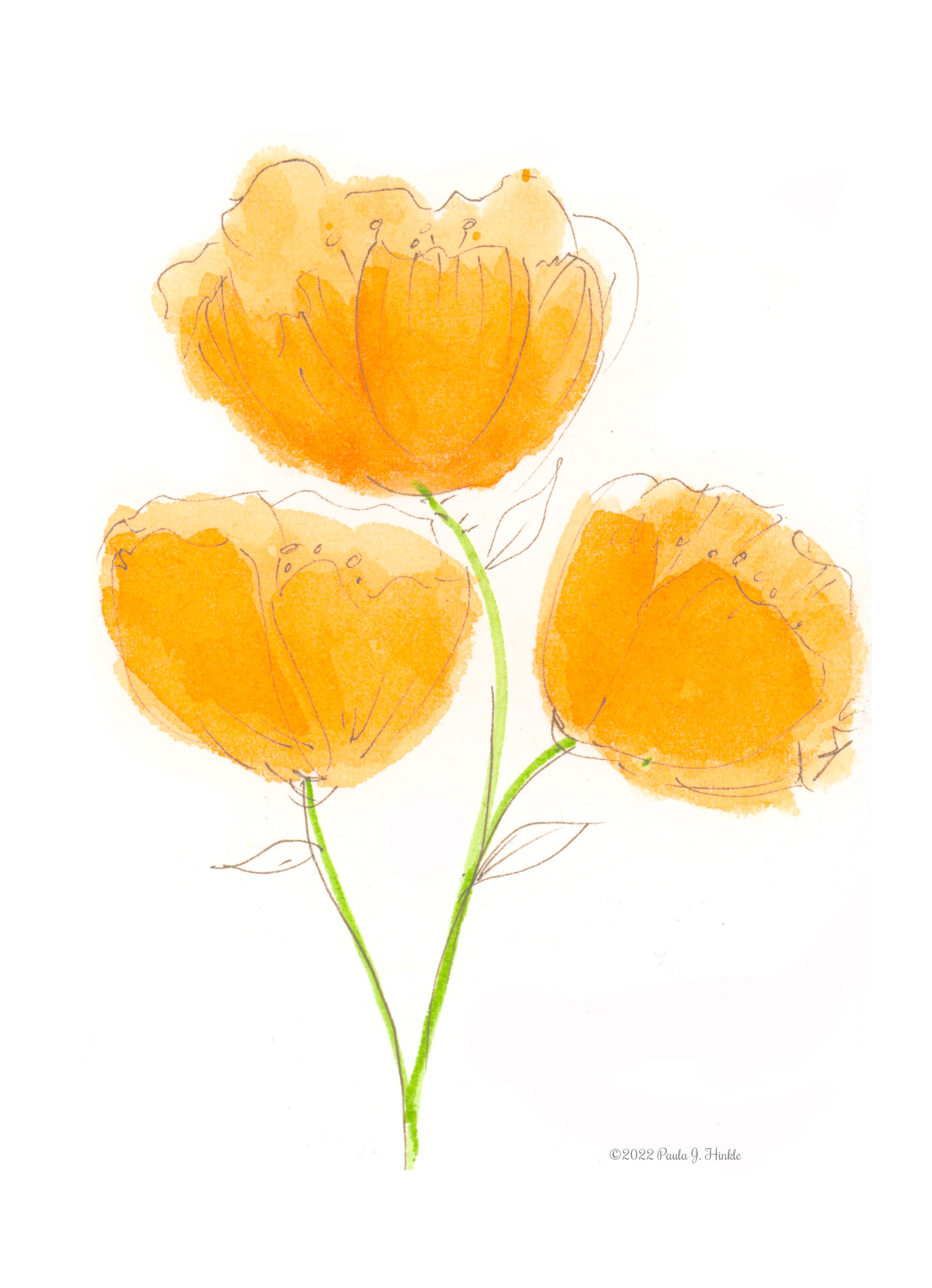 Pretty Poppies