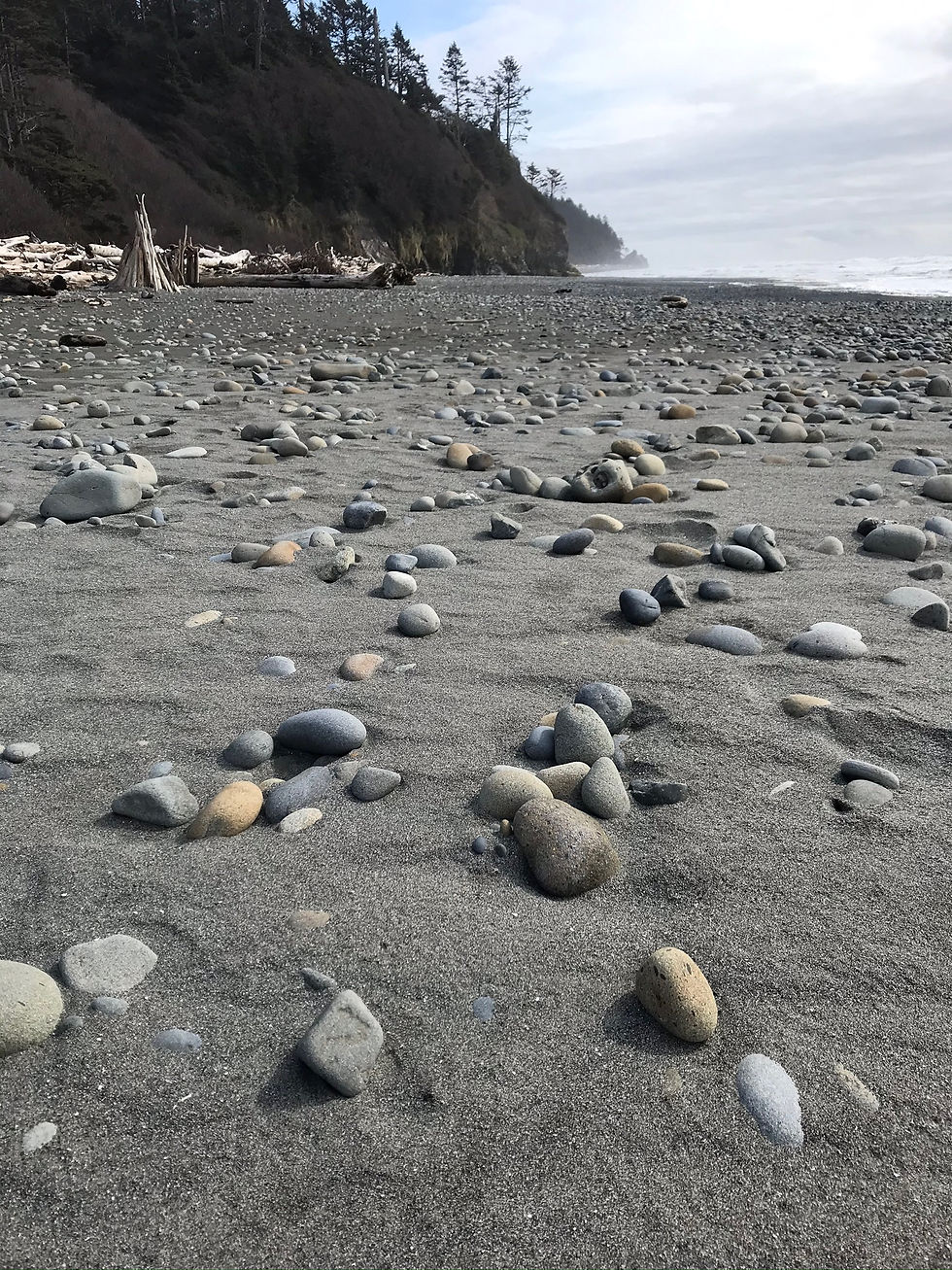 field of stones washed up on sandy beach