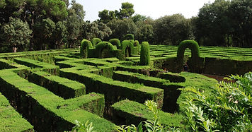 hedge maze that looks like the cortex of the brain
