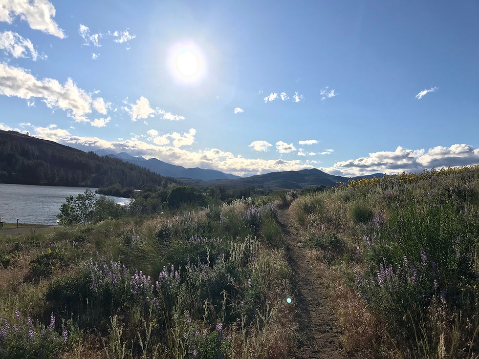 peaceful walk through a hillside, lakeside meadow toward sun over mountains - Pearrygin Lake State Park, Washington, USA