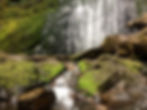 waterfall rushing amidst mossy rocks - Marymere Falls, Olympic Peninsula