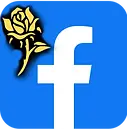 Join Yellow Rose on Facebook