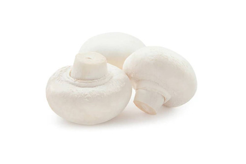 White Mushroom | thaifooddepot