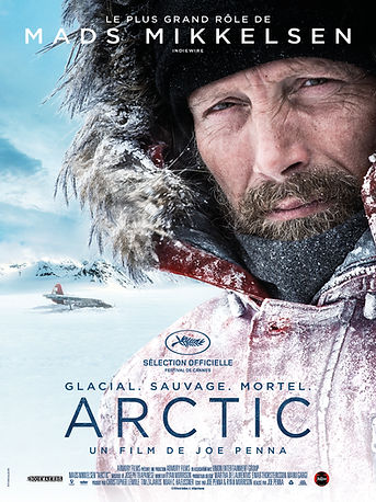 ARCTIC 120x160.jpeg