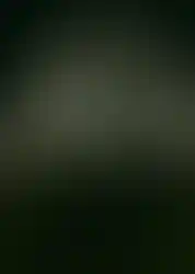 @ThomasCecchelani