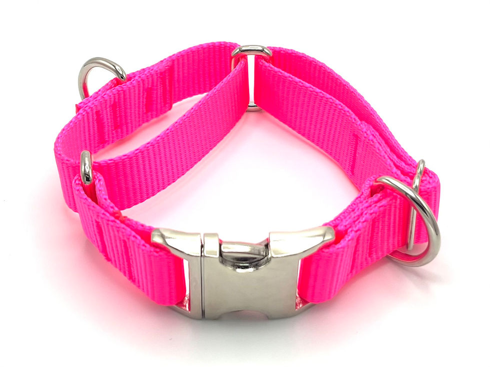 Premium Martingale Collars Control Leash