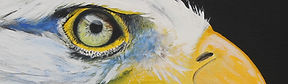 Bald Eagle Art
