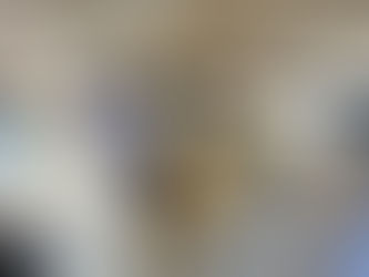 12/12/24 Reunião com MP e o Coordenador do Centro de Apoio Operacional da Infância, Juventude e Educação do MP/SC.