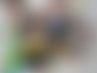 Quarta-feira 11/03/2026 * Teresinha Facilitador Social “Animais fazem parte da nossa vida”.