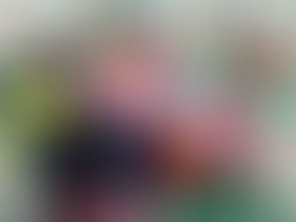 4  e 5 anos História: Obediência aos pais .