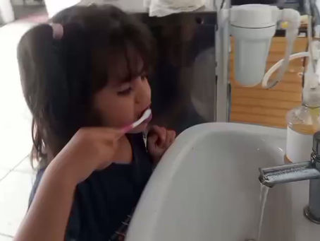 Quarta-feira 11/03/2026 Sandra Ogg Facilitador Social