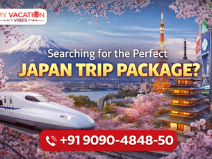 Searching for the Perfect Japan Trip Package?