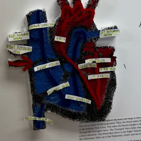 Cardiac/Medical Innovations Unit Recap!