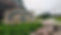 Header-Image.jpeg