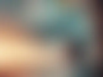MI NIDO