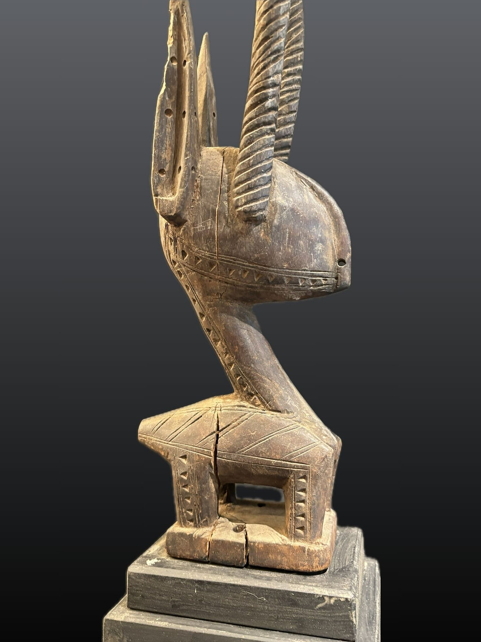 Miniature : Gazelle Tiywara BAMBARA