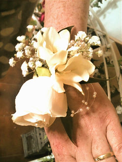 IMG_0339%20(2)_edited.jpg