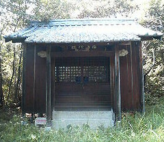 p02.jpg