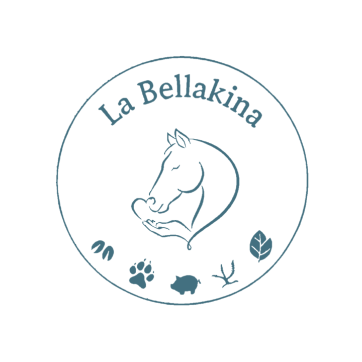 La Bellakina