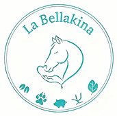 dreamina-2025-12-08-8241-Remplacez la silhouette de lapin par une....jpeg