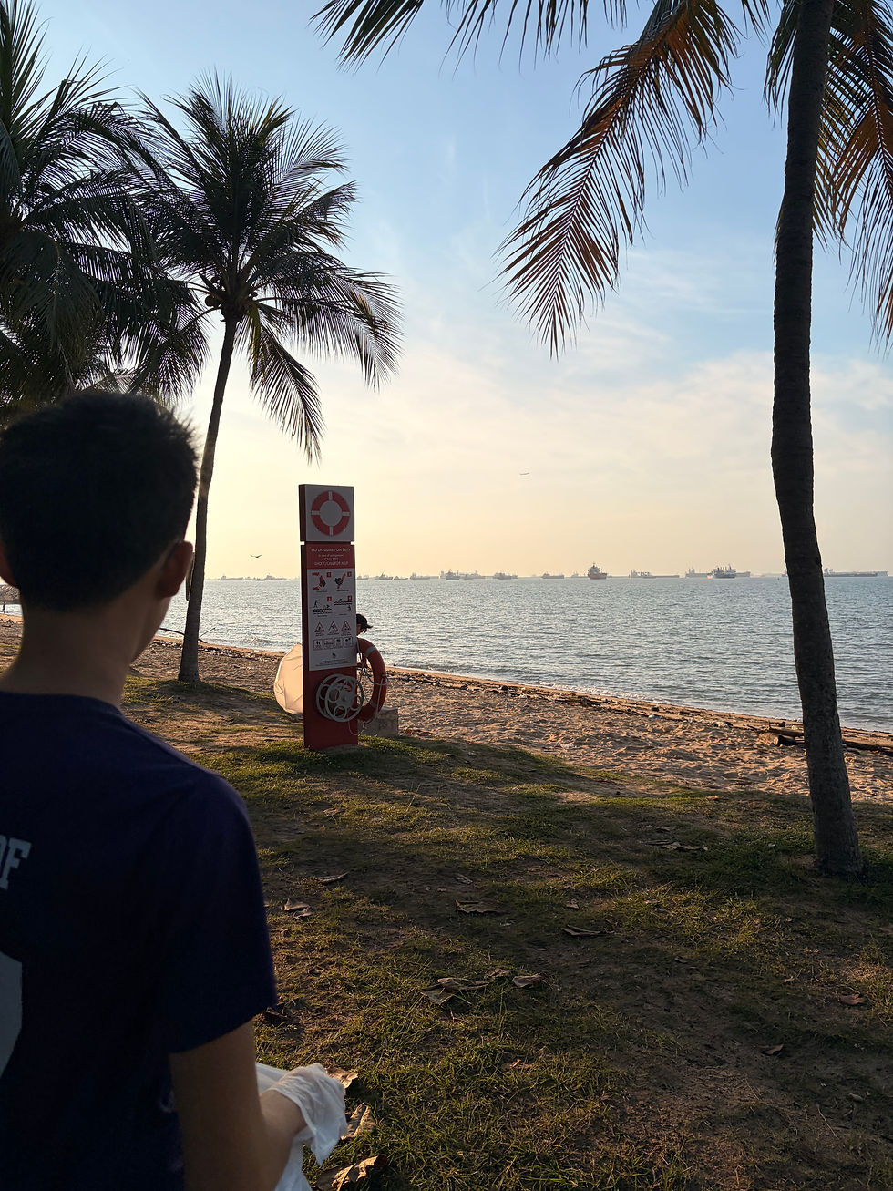Man looking at sunny beach with palm trees and ships