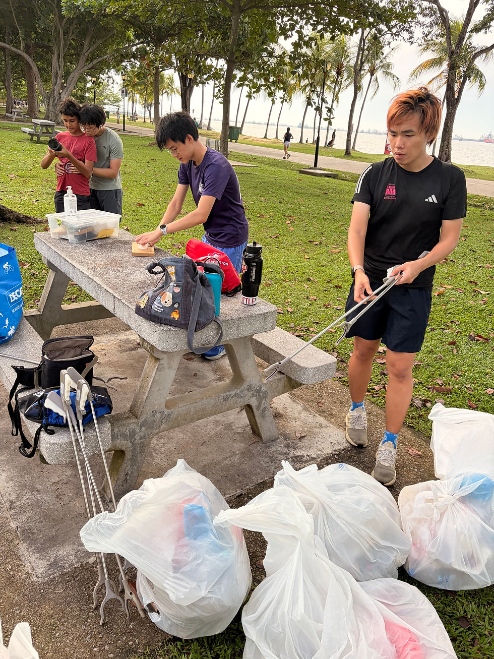People with litter pickers and trash bags in a park