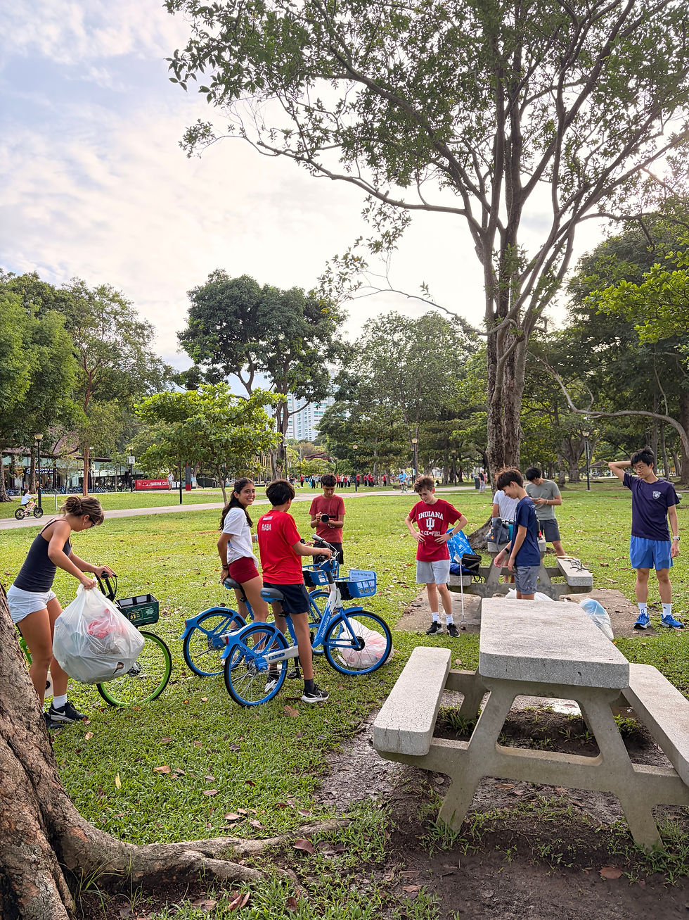 Young people cleaning a park