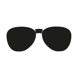 Dude Lemon LLC logo