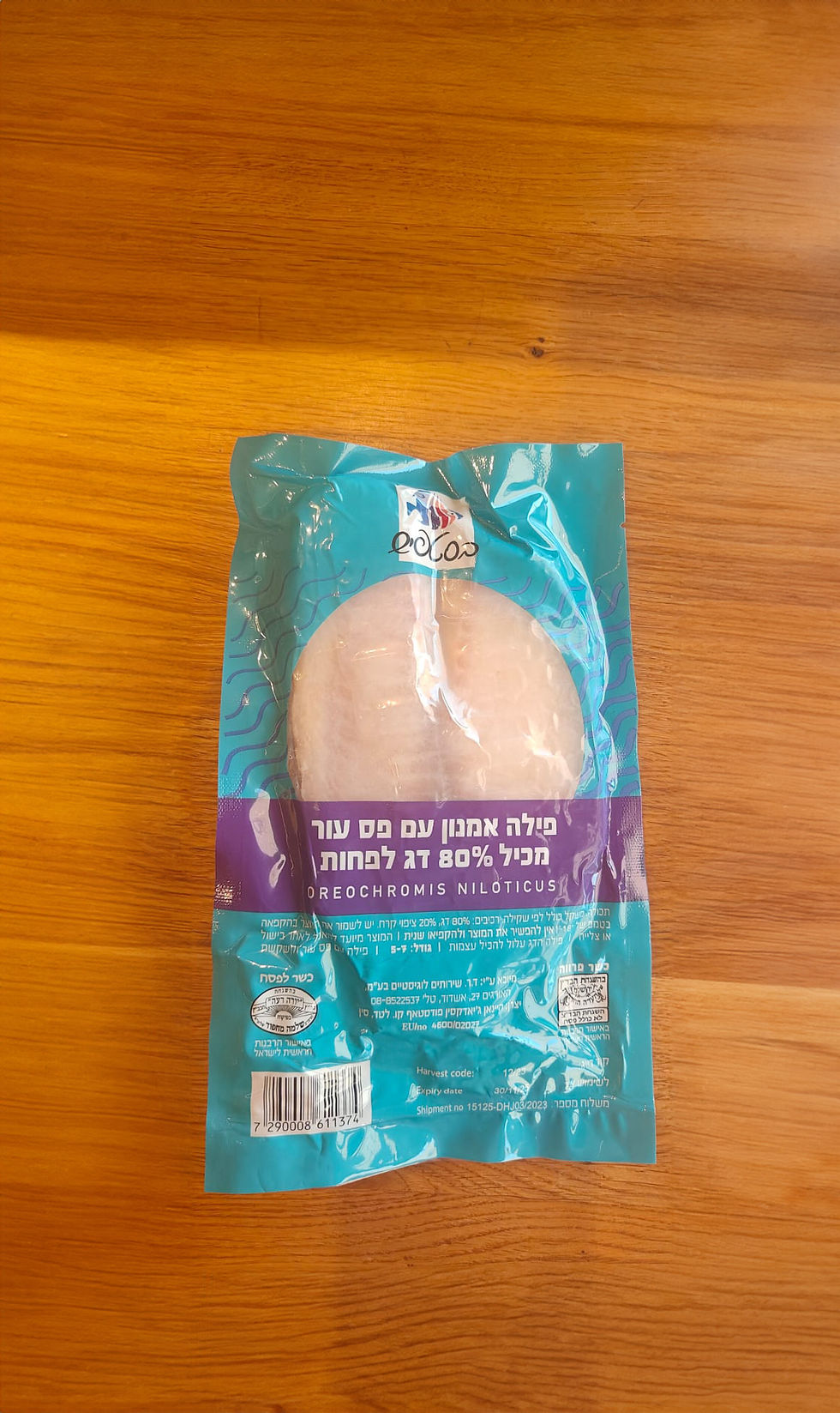 פילה אמנון.jpg