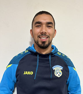 mehdi ayed