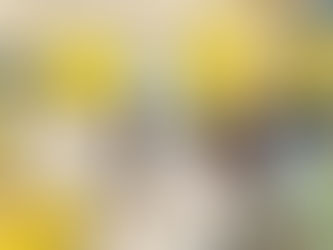 Santa Cruz do Capibaribe realiza ação do Setembro Amarelo nesta terça-feira (26)