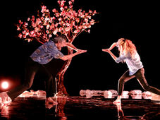 Le 21 sept. 2025 à 17:00 au Centre Chorégraphique National de Tours Je Suis le Vent / Jon Fosse / Emma Gustafsson