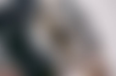 Life Coaching: A Closer Look