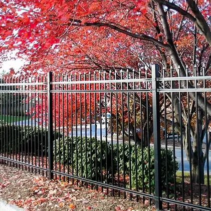 Black metal fence in front of vibrant red and green foliage.