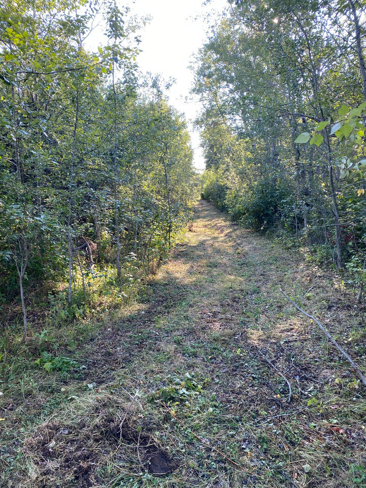 Vegetation control work done