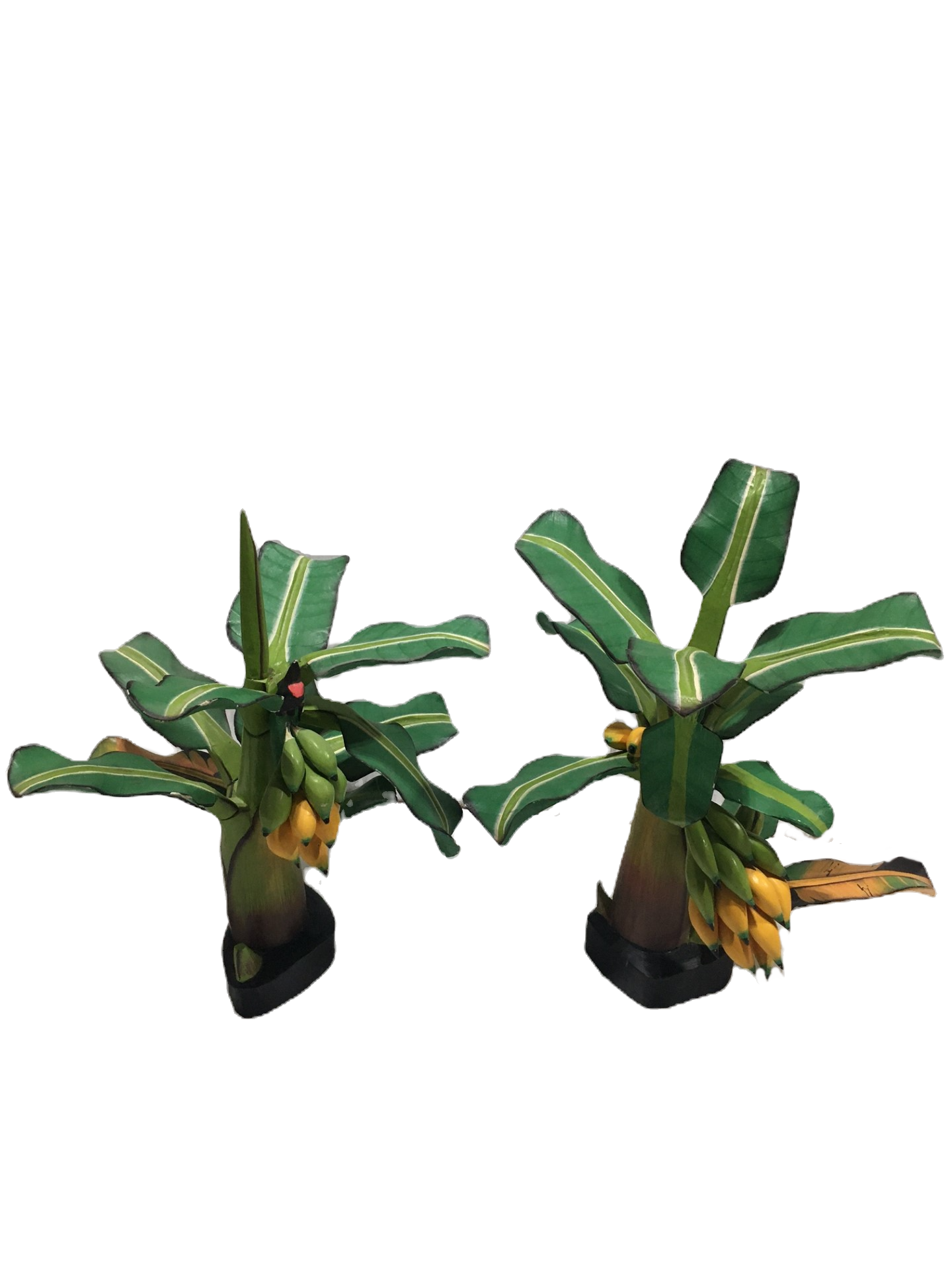 Banana Trees