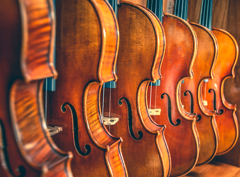 Closeup of violins