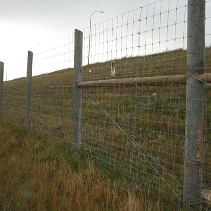 Metal fence along a grassy hill with a cloudy sky in the background.