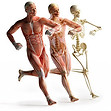 CEC-kinesiology.jpg